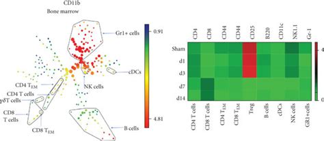 Cell surface markers significantly expressed in different immune cell... | Download Scientific ...