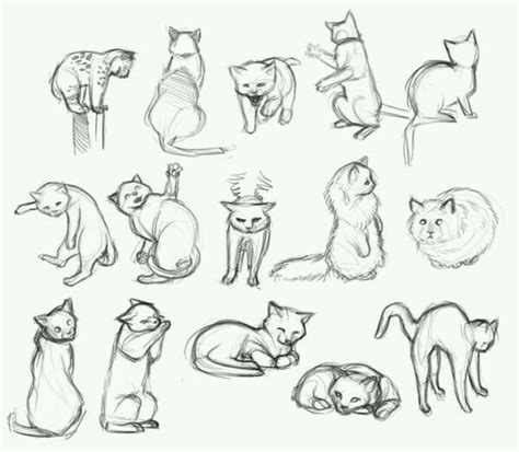 Cat pose reference | Disegnare animali, Disegni di gatti, Disegni di ...