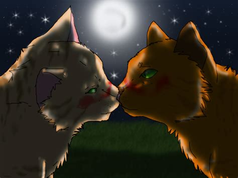 Sandstorm and Firestar-kiss on the starry night by danituco on DeviantArt