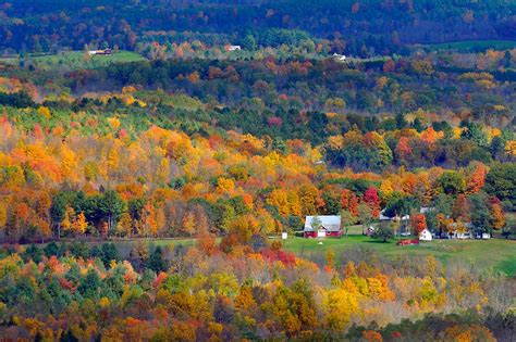 When And Where To Expect New York's Fall Foliage To Peak This Year