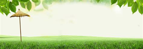 Green Nature Banner Background, Green, Natural, Leaves Background Image for Free Download