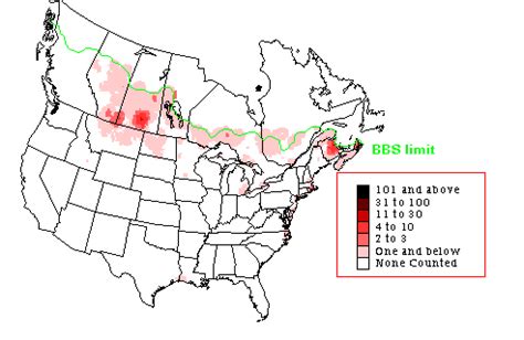 Common Tern - Breeding Range Map