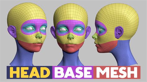 Head Basemesh Topology - FlippedNormals