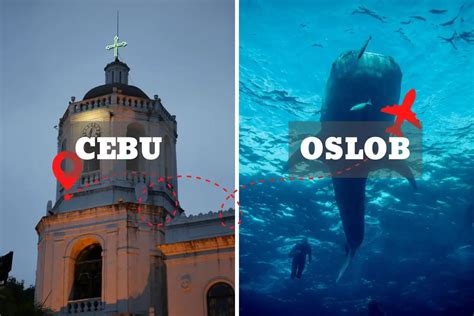 Cebu to Oslob: How to Get to Oslob, Cebu in 2023 - CEBU INSIDER