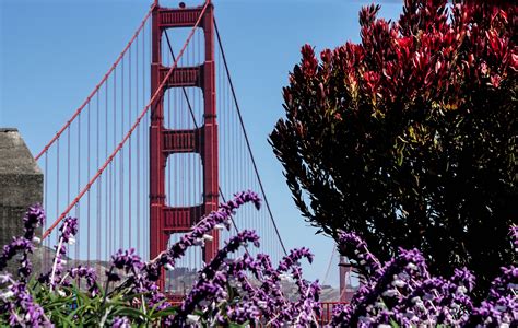 Walking the Golden Gate Bridge - Exploring Our World