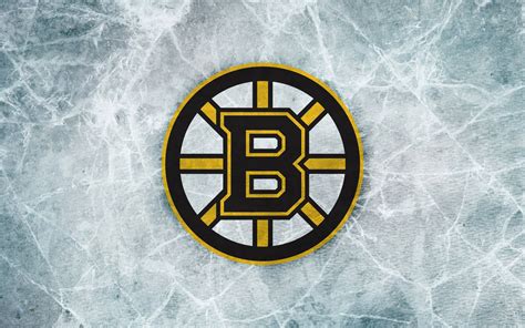 [300+] Boston Bruins Wallpapers | Wallpapers.com