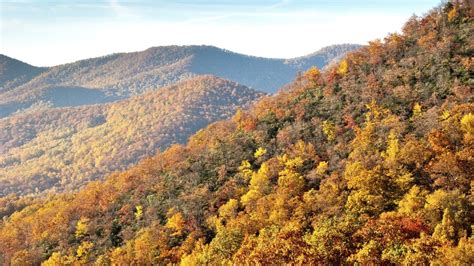 Temperate Broadleaf and Mixed Forest — Ecology Pocket Guide