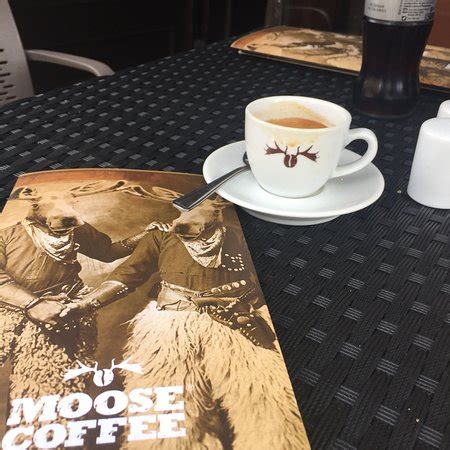 Moose Coffee, Liverpool - 6 Dale St - Restaurant Reviews, Phone Number & Photos - TripAdvisor