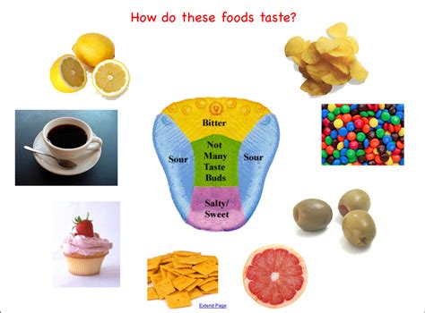 sense of taste activities | do an experiment like a taste test where the students taste ...