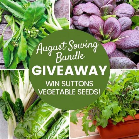 Win Suttons Vegetable Seeds - August Sowing Bundle - Suttons Gardening ...