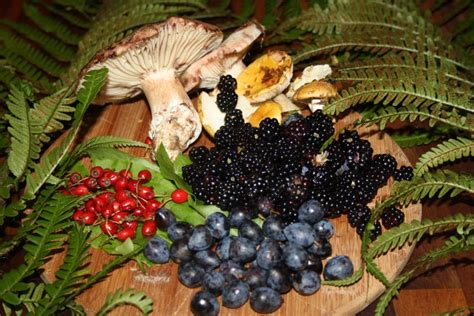 Wild Food Foraging with Mary White - Kildare Heritage Centre