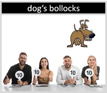 "The Dog's Bollocks" | Origin and Meaning