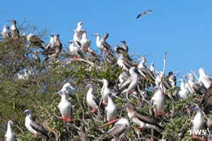 Johnston Atoll National Wildlife Refuge