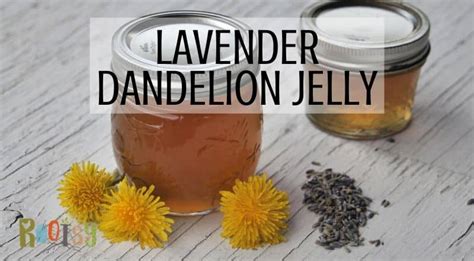 Lavender Dandelion Jelly Recipe - Rootsy Network