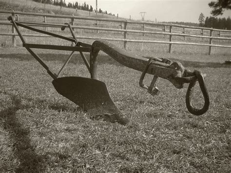 Wunder Blog Archive | Weather Underground | Old farm equipment, Deer ...