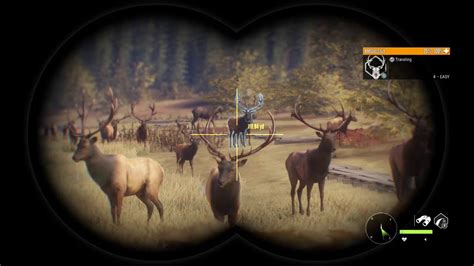 Thehunter: Call of the wild Animal quality lv 12 map look at all those elk - YouTube