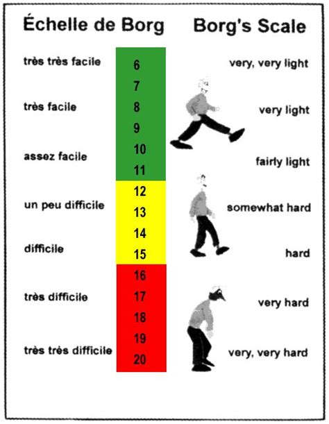 Borg Scale Printable