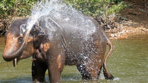 Wildlife Tour of Goa | OSR Vacation