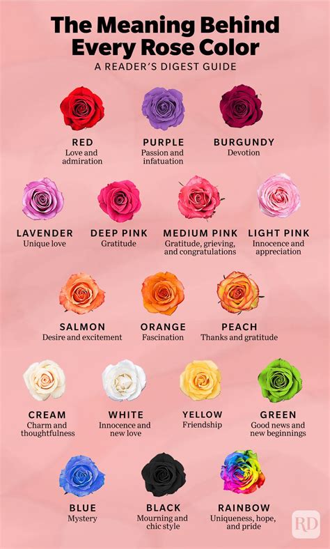 17 Rose Color Meanings to Help You Choose the Perfect Bouquet