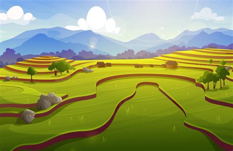 Rice field terraces, asian paddy with farm houses 13699296 Vector Art ...