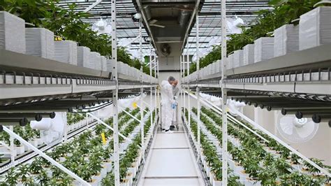 Indoor Vertical Farming: Agriculture 2.0 · Neonjoint