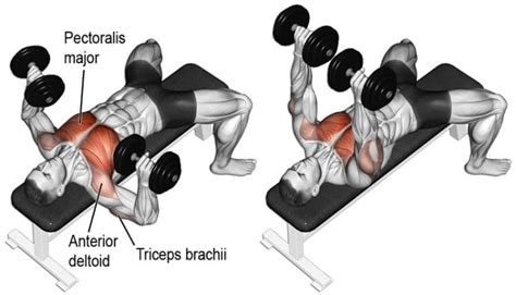 5 Exercises That Are Better Than The Chest Press Machine ~ healthtasy.com