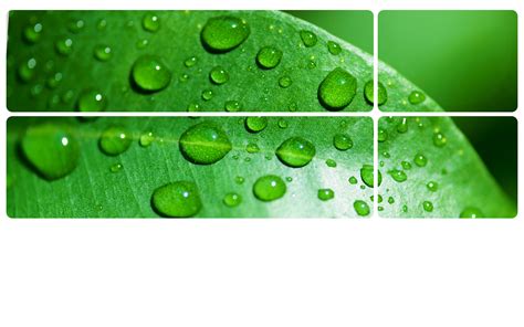 Water Drops powerpoint Template - PPT Backgrounds Templates