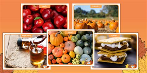 Fall Festival Foods | Kindergarten Resource | Twinkl USA