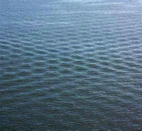 What It Means If You See Square Waves In The Ocean?