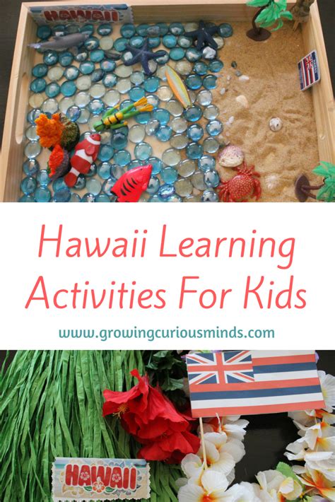 Hawaii Activities, Geography Activities, Homeschool Geography ...