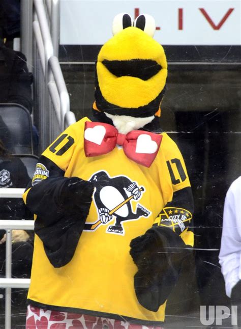 Photo: Pittsburgh Penguins Mascot Celebrates Valentine's Day ...