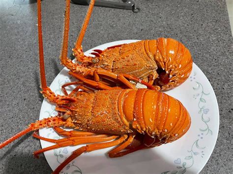 Simple Guide to Cooking Lobster - Western Rock Lobster