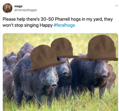 30 Feral Hogs Meme