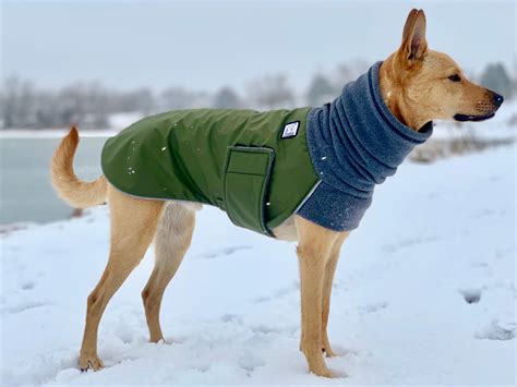 Custom Dog Winter Coat | Dog winter coat, Custom dog coats, Winter dog