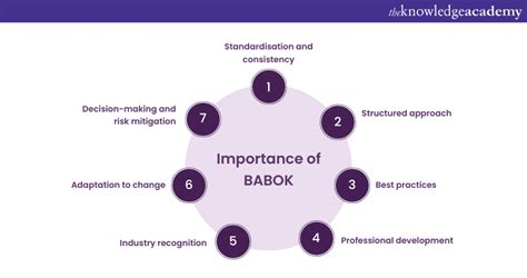 What is BABOK (Business Analysis Body of Knowledge)? Explained