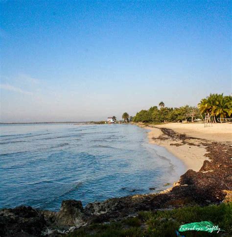 Cómo ir a la Ciénaga de Zapata | Descubriendo la naturaleza cubana