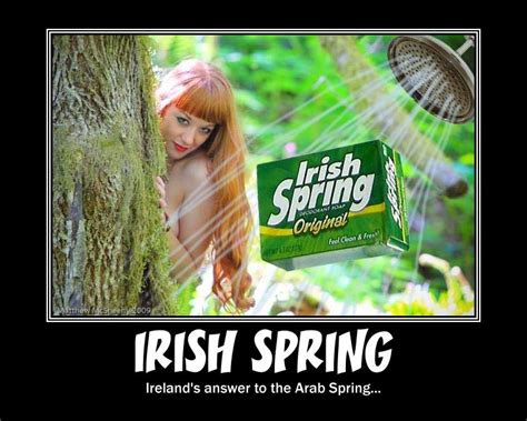 🔥 [50+] Funny Irish Wallpapers | WallpaperSafari