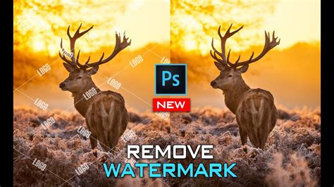 Cách xóa logo watermark bằng Photoshop mới và hiệu quả nhất (Remove watermark logo in Photoshop ...