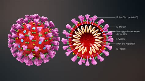 The end of exponential growth: The decline in the spread of coronavirus | The Times of Israel