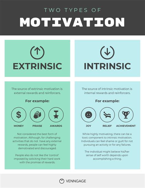 Motivation Types Comparison Infographic Template - Venngage