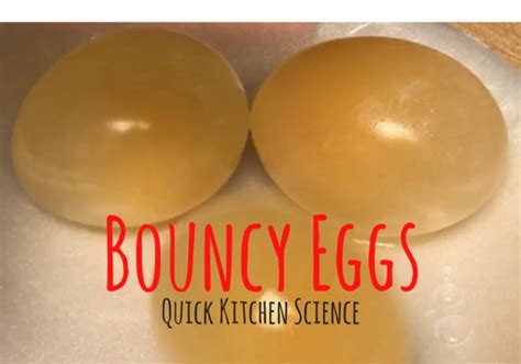 Quick Kitchen Science - Bouncy Egg Experiment | Macaroni KID North York