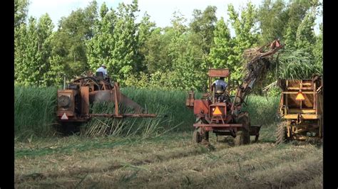 2020 Sugar Cane Planting Starting in Louisiana 4K - YouTube