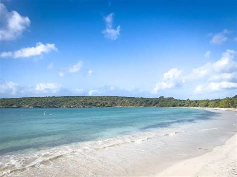 Visiting Vieques with Kids - Family Can Travel