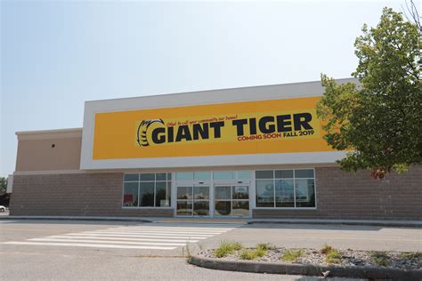 Opening Date Set For Giant Tiger | windsoriteDOTca News - windsor ...