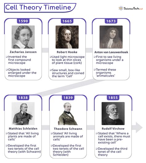 Cell Theory - Definition, Parts, Timeline, and Diagram