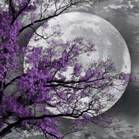 Moon Night GIF - Moon Night Flowers - Discover & Share GIFs | Purple wall art, Moon painting ...