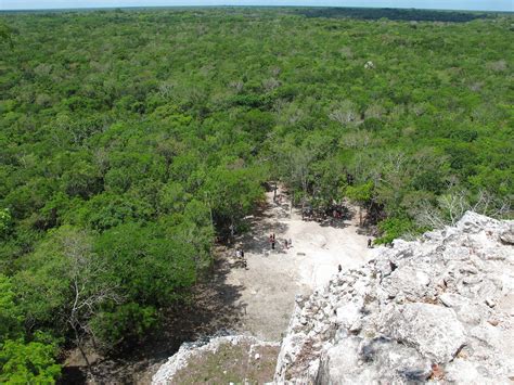 Elevation of Carretera Federal Tulum, Cobá, Q.R., Mexico - Topographic ...