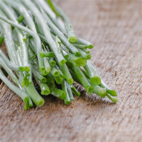 Planting, Growing and Harvesting Chives - The Lavender Homefront