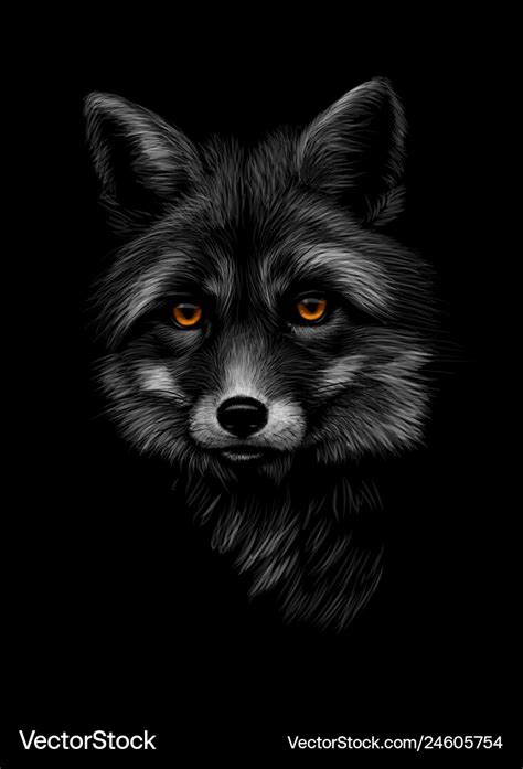 Portrait of a fox head on a black background Vector Image