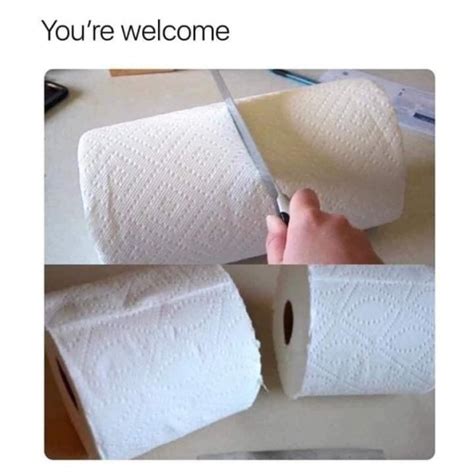 Toilet Paper Memes (34 pics)